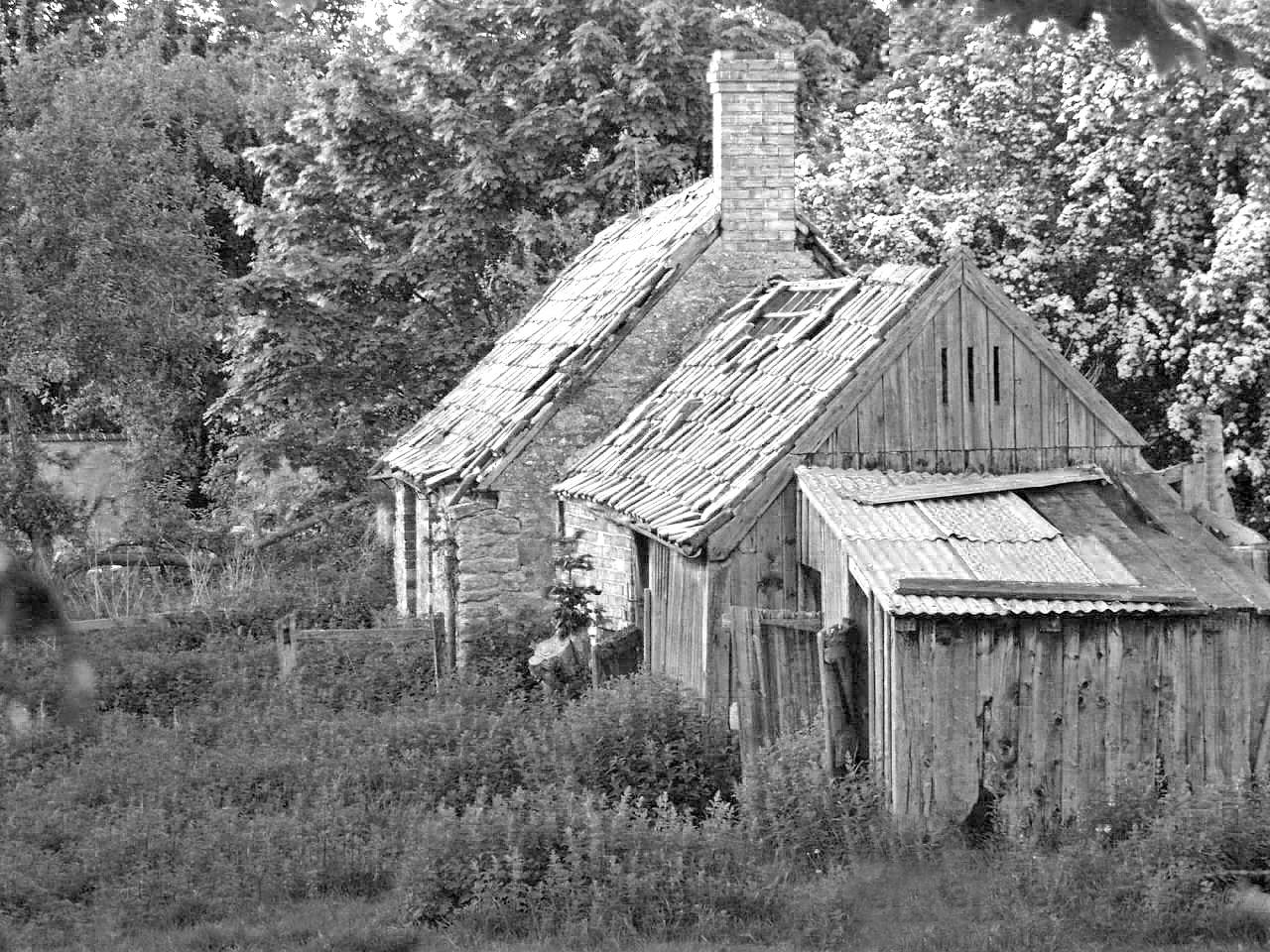 old barn 2 .jpg