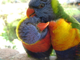 DSCF1094.jpg