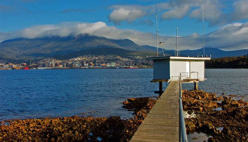 Mount Wellington