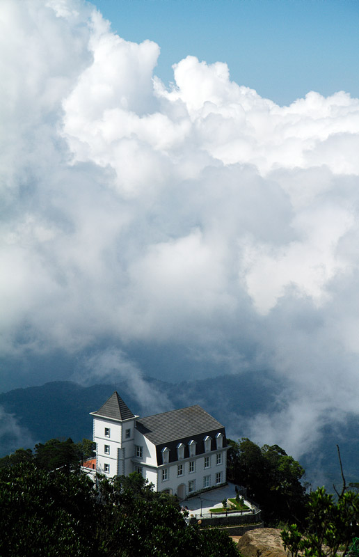 in the clouds