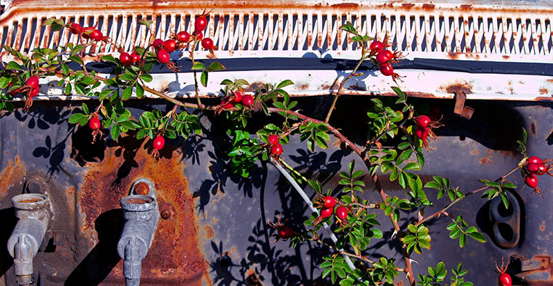 Life and decay