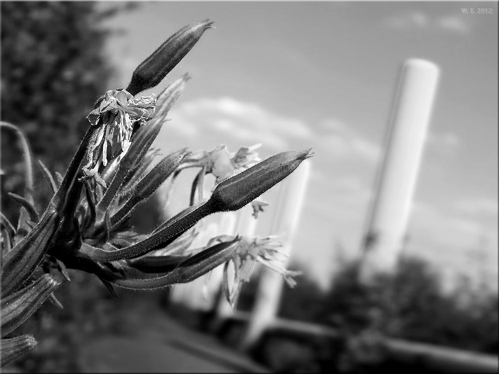 landmark architecture<br>12-08-2012