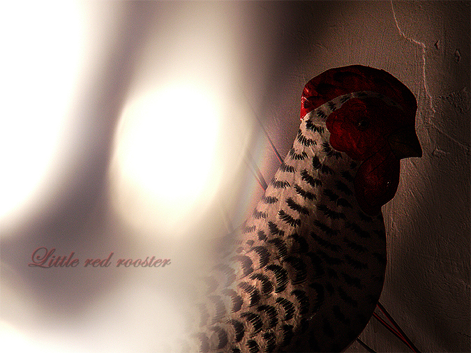 Little red rooster