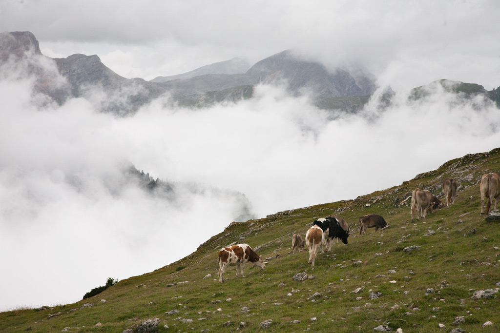 Pico Vallandro