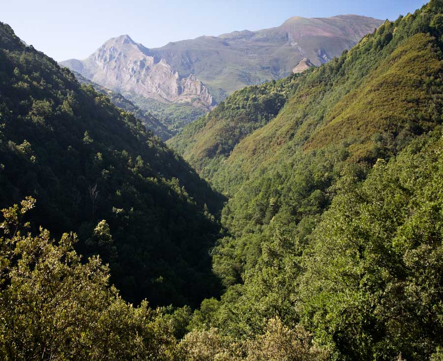 Len - Valle del Silencio