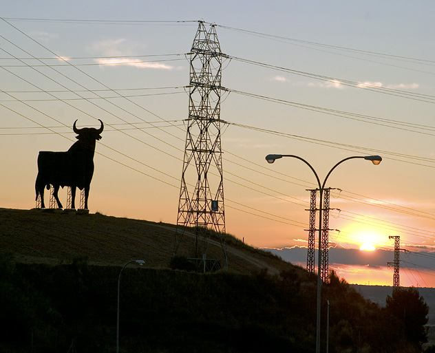 Toro Osborne en Guadalajara
