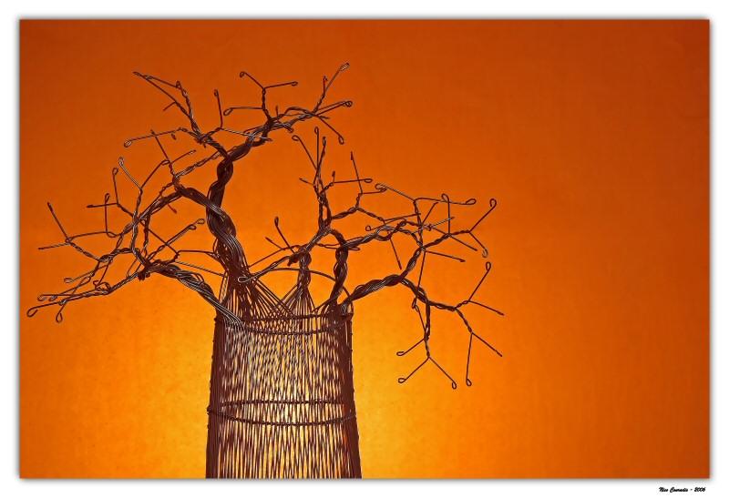 African Sunset