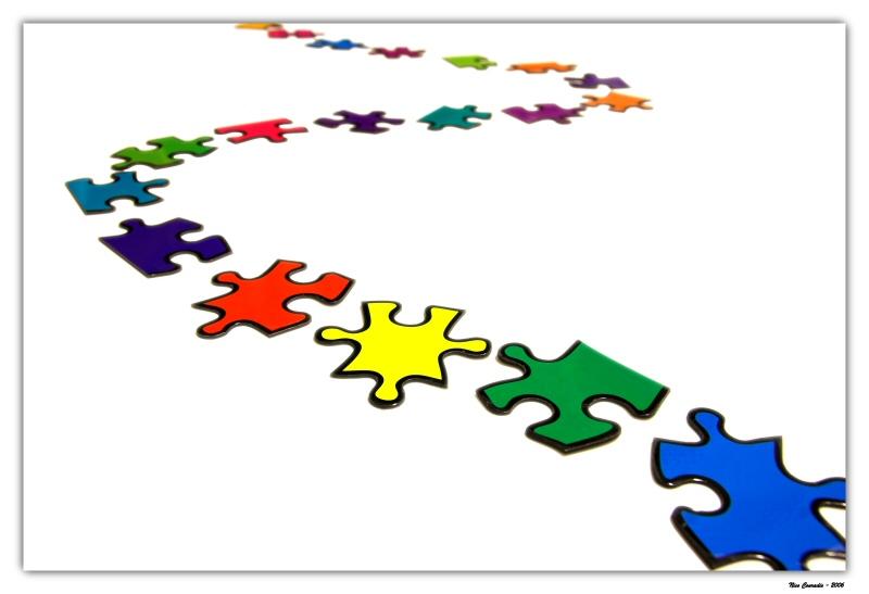 Puzzling Path