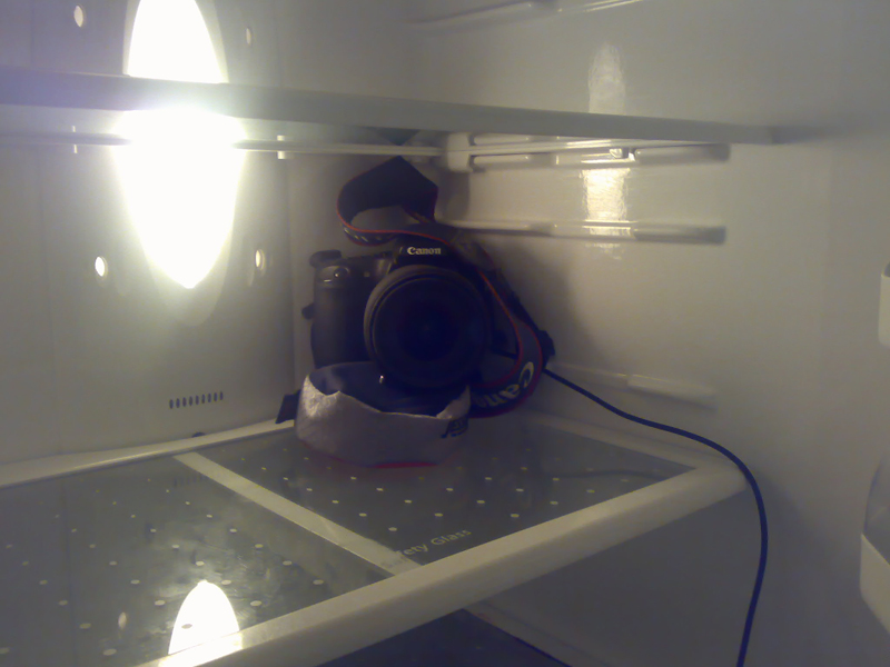 Fridge Photo