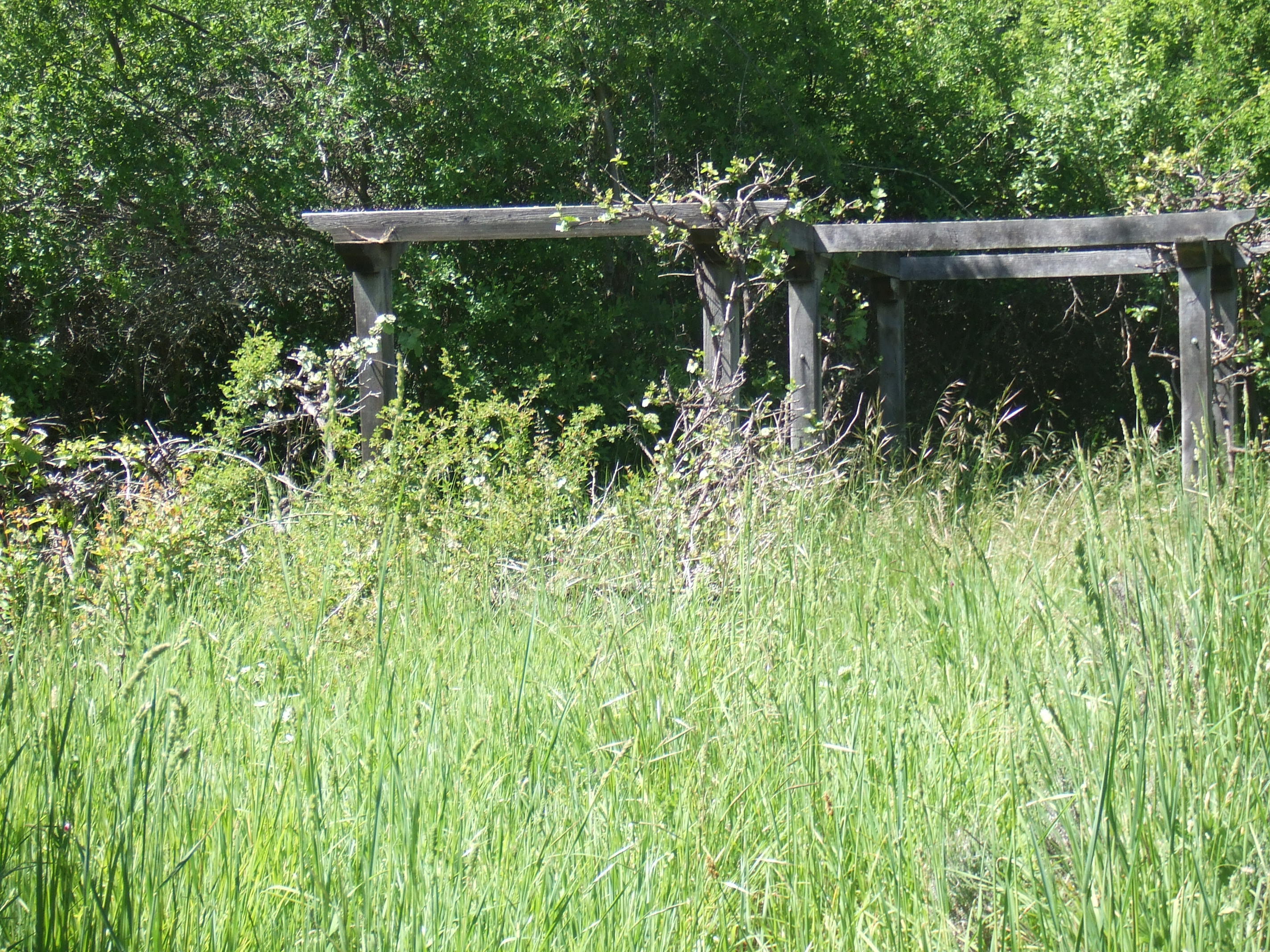 Covelo Garden