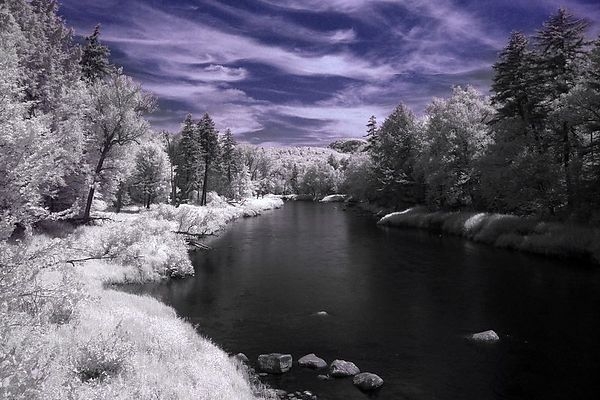 Moose River