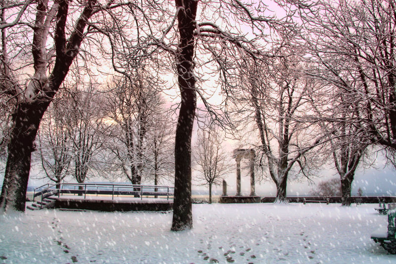 Winter Wonderland....