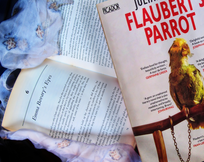 Flauberts Parrot by Julian Barnes  - Chapter 6 - Incipit