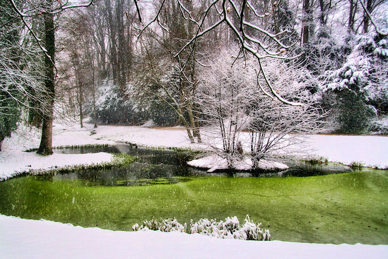 The snowy pond