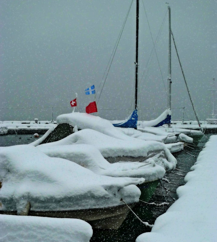 Frozen regatta....