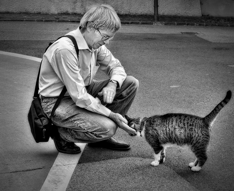 I like men who like cats...