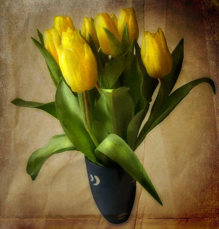 Tulips are sociable...