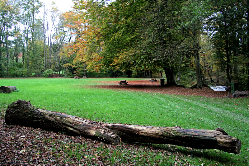 Missed invitation to the last picnic