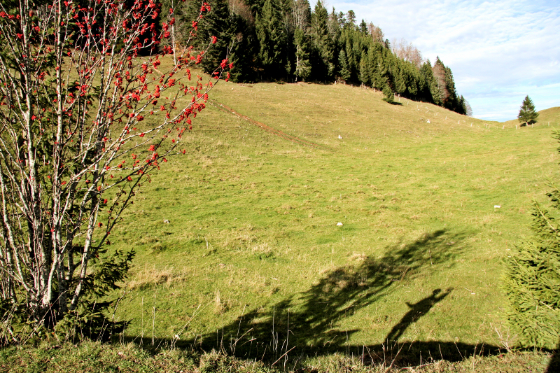 Autumn Jura...
