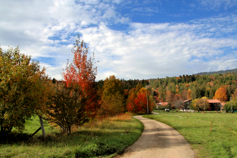 Mr. Autumn likes romantic walks...