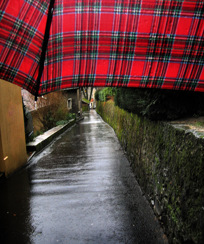 Rainy world under an umbrella