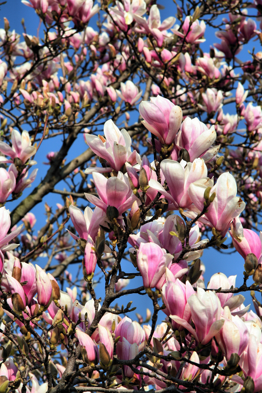 I might smell spring in the air....