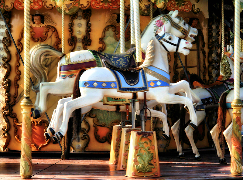 I might become a horse-thief....
