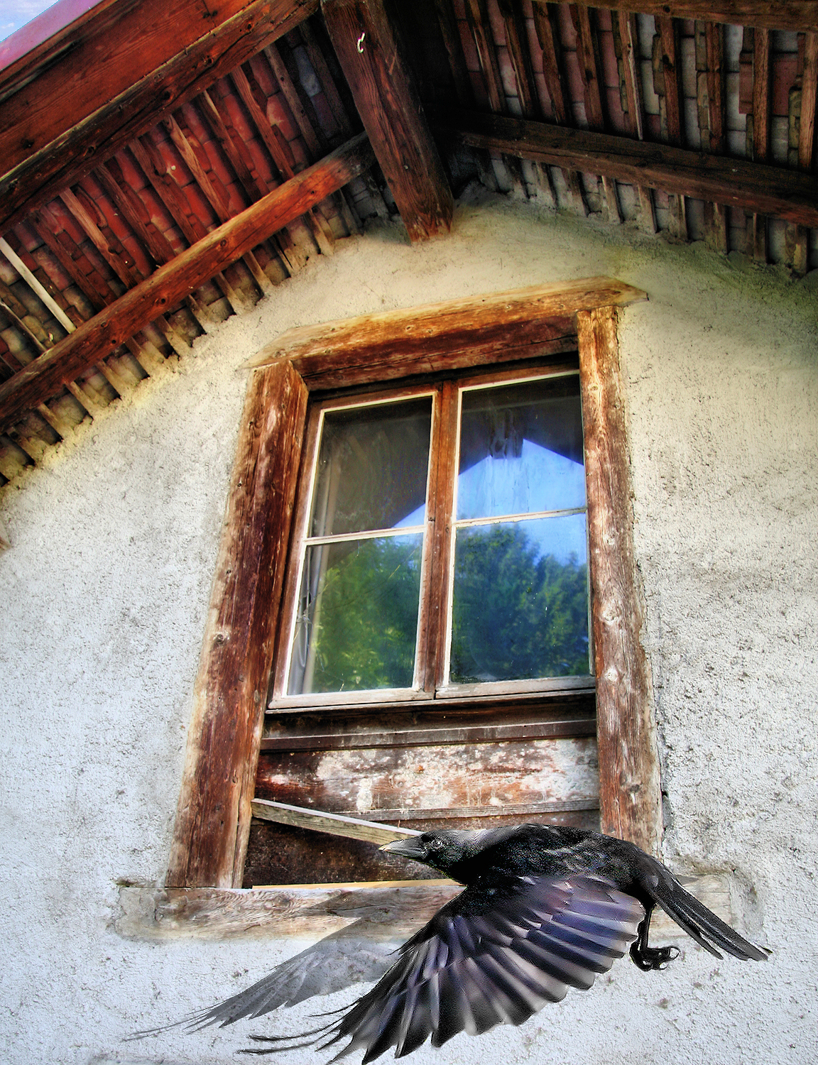 A secret shared between a window and a rook...