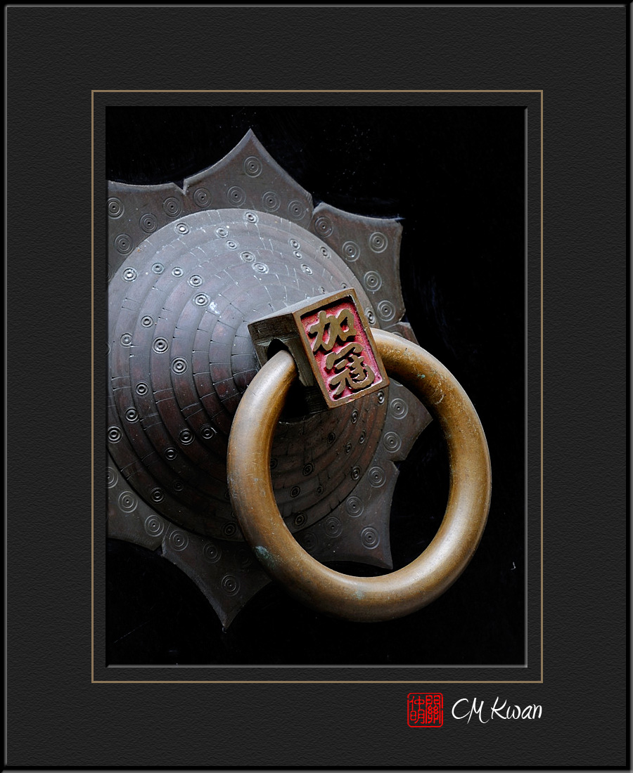 Door Ring