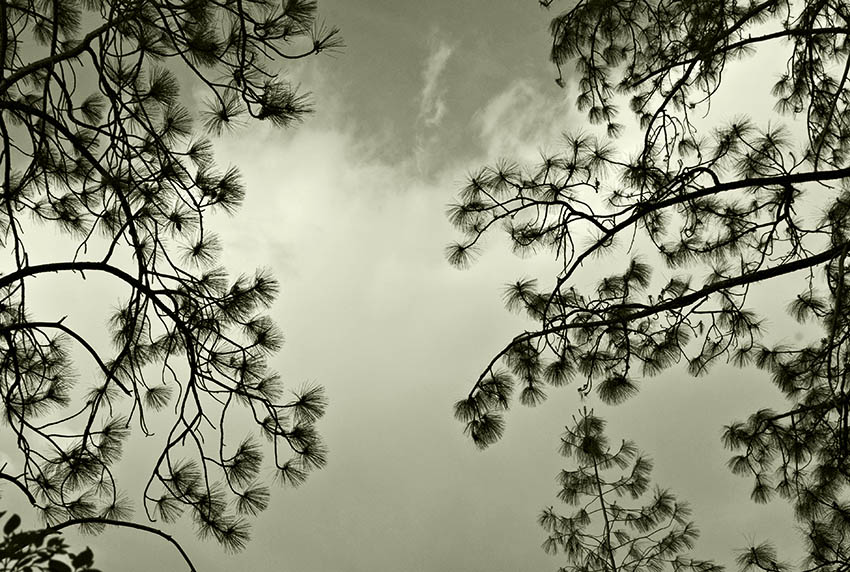 Reaching Out