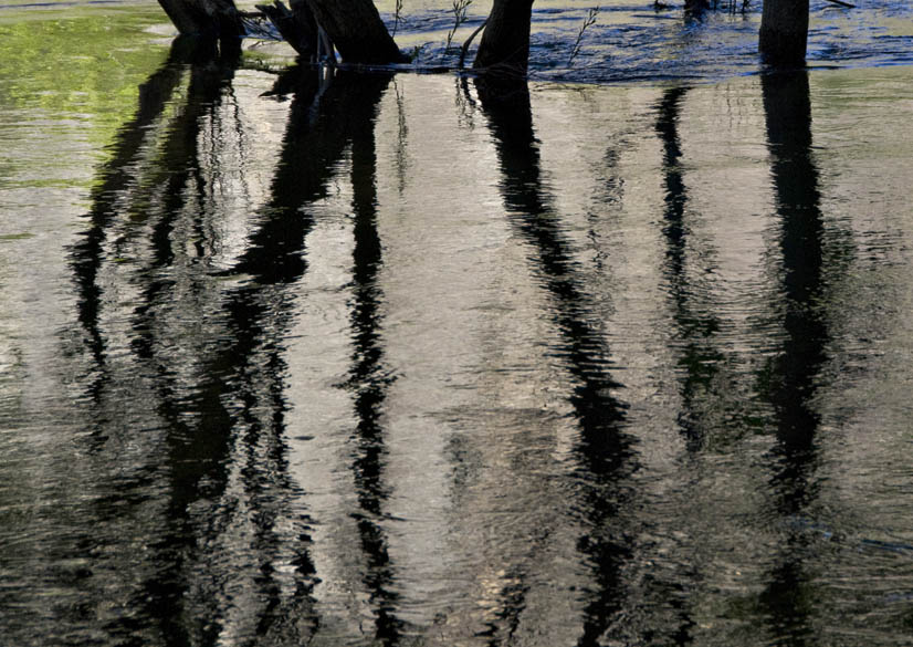Merced Reflection