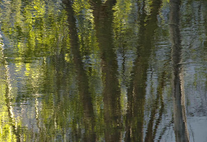 Merced Reflection