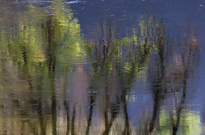 Merced Reflection