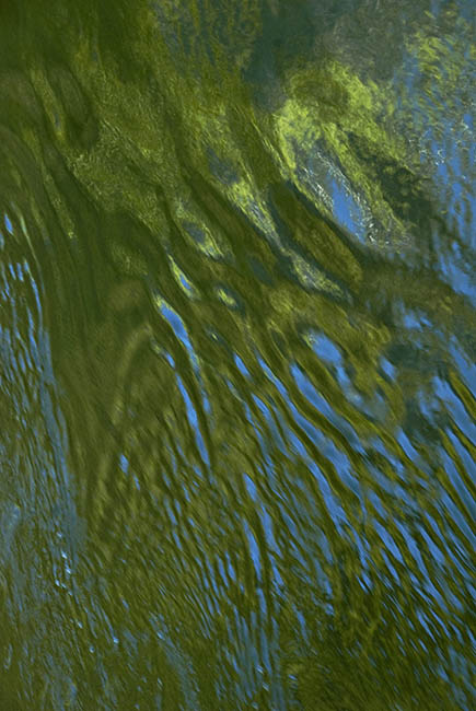 Water Pallette