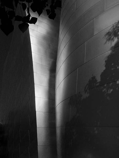 Disney Hall