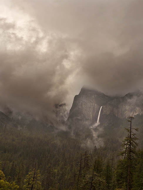 A Foggy Day