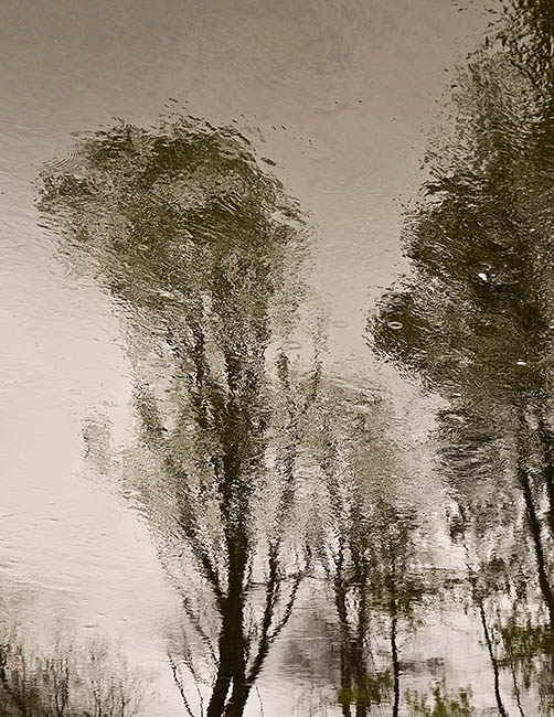 River Reversal