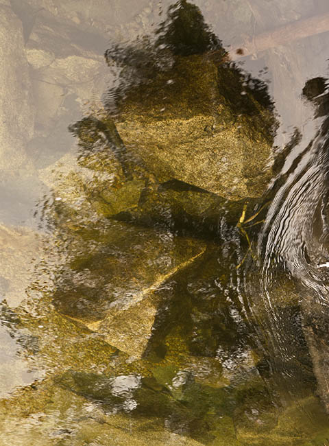 Underwater Collage