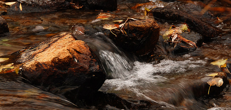  Autumn Waters