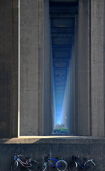 Under The Yangtze Bridge