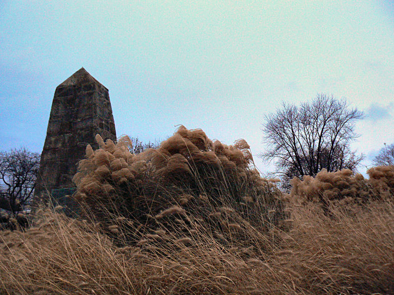 On the Heath