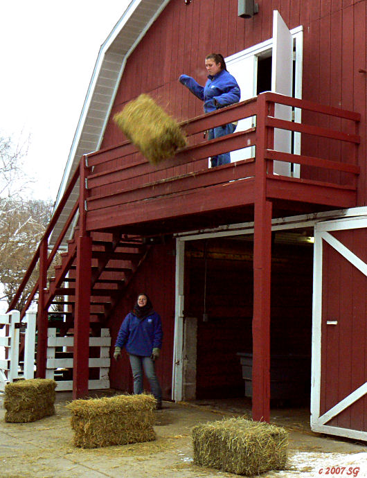 Pitching Bales