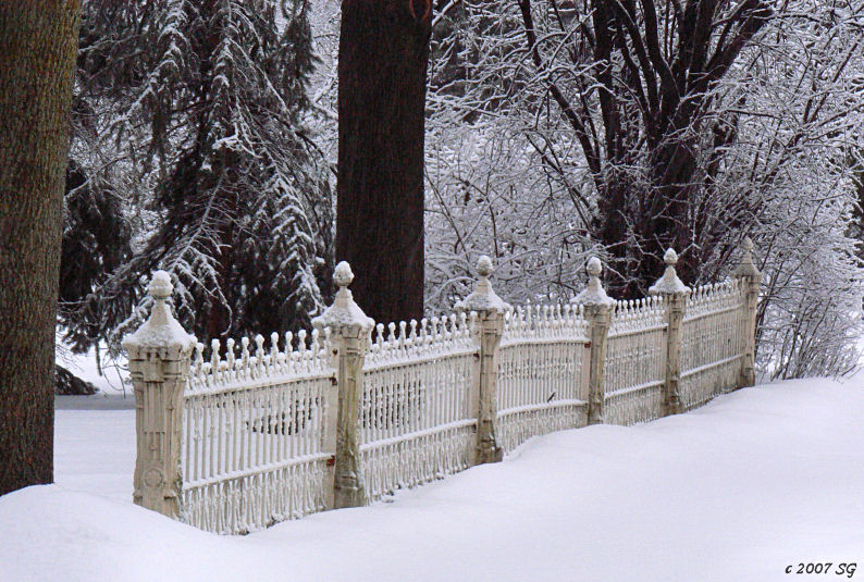 Snow Fence