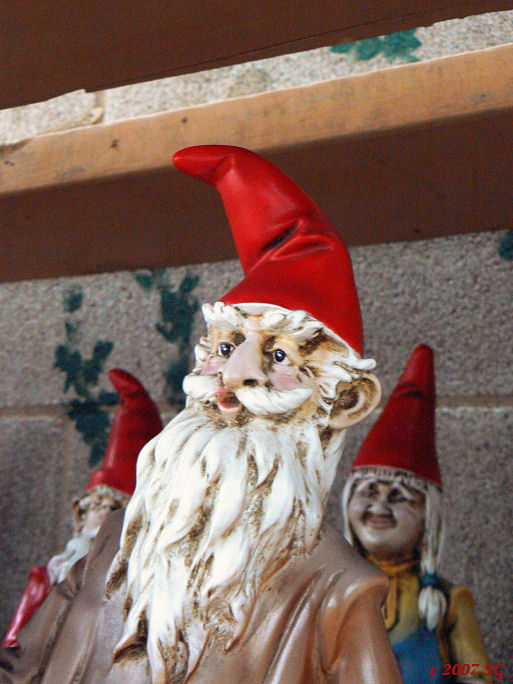 Gnome King