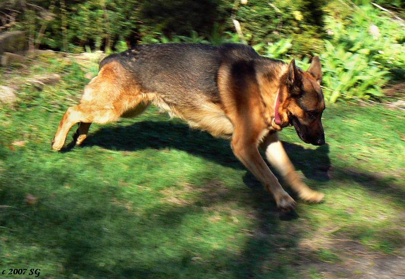 Air Coby