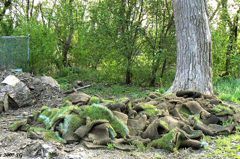 Carpet Remnants