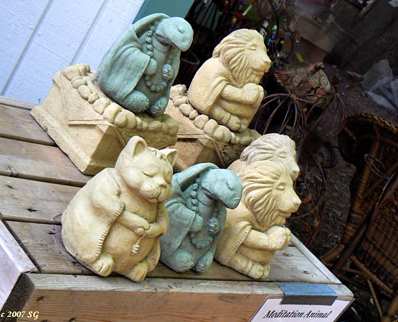Zenimals