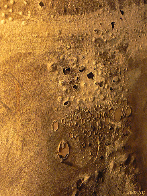 Paint Blister Moonscape