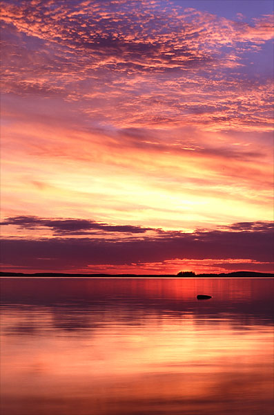 velvia2003_2.jpg