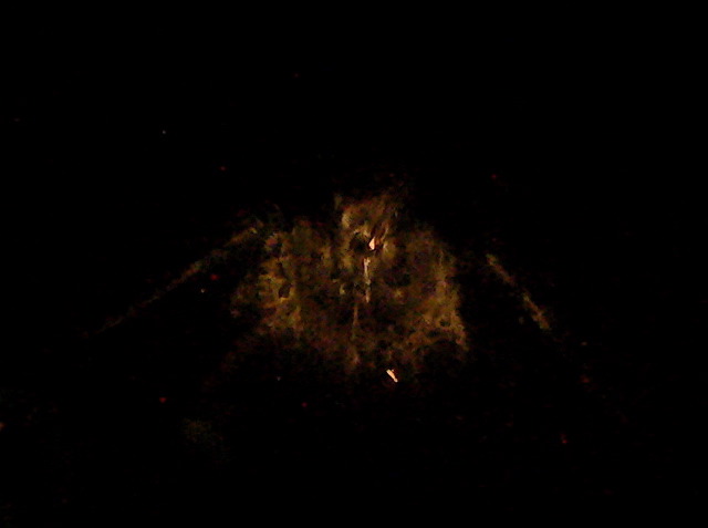 P1070221_1.jpg
